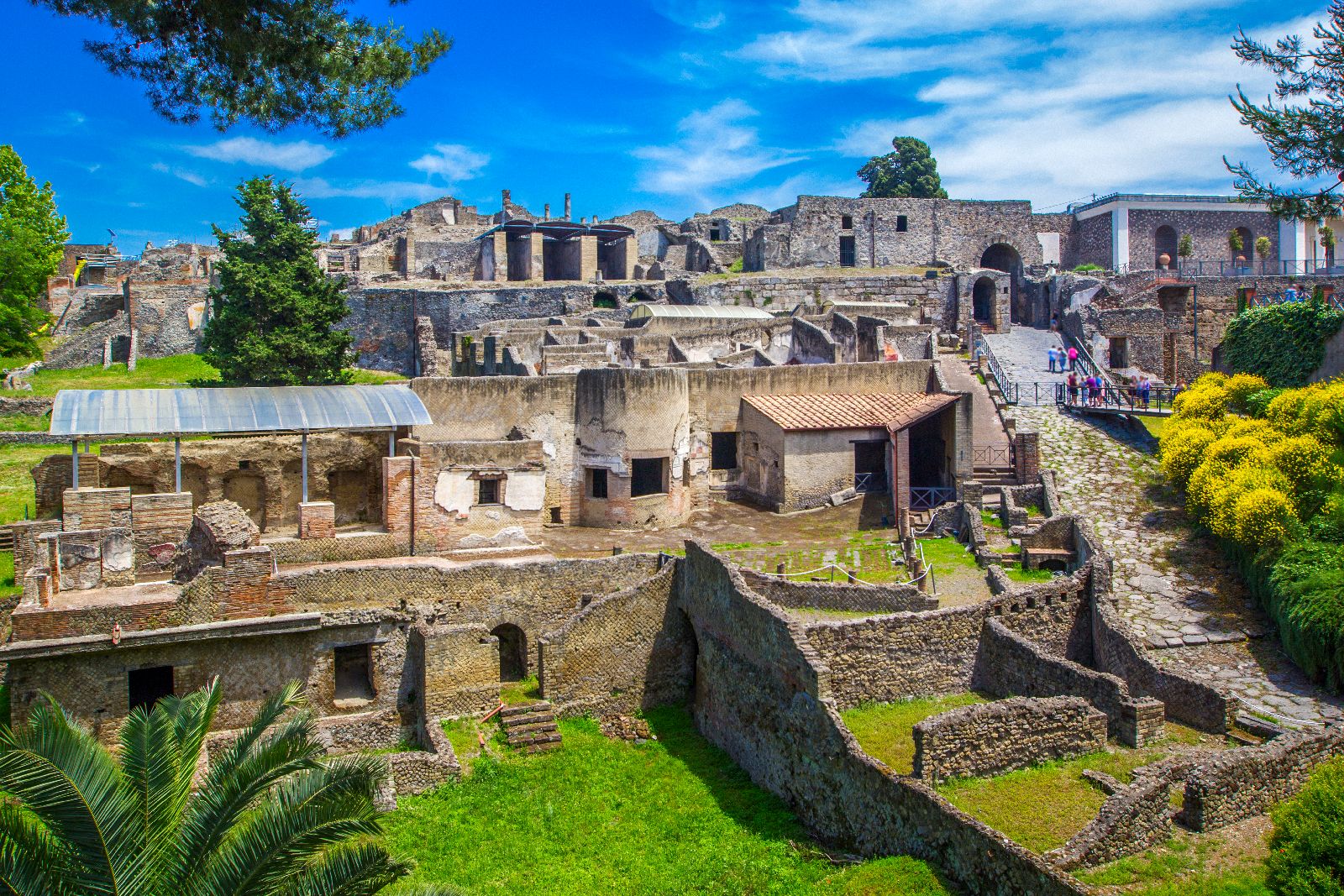 Pompeii: Exclusive 2h private tour with tickets & transfer from Sorrento