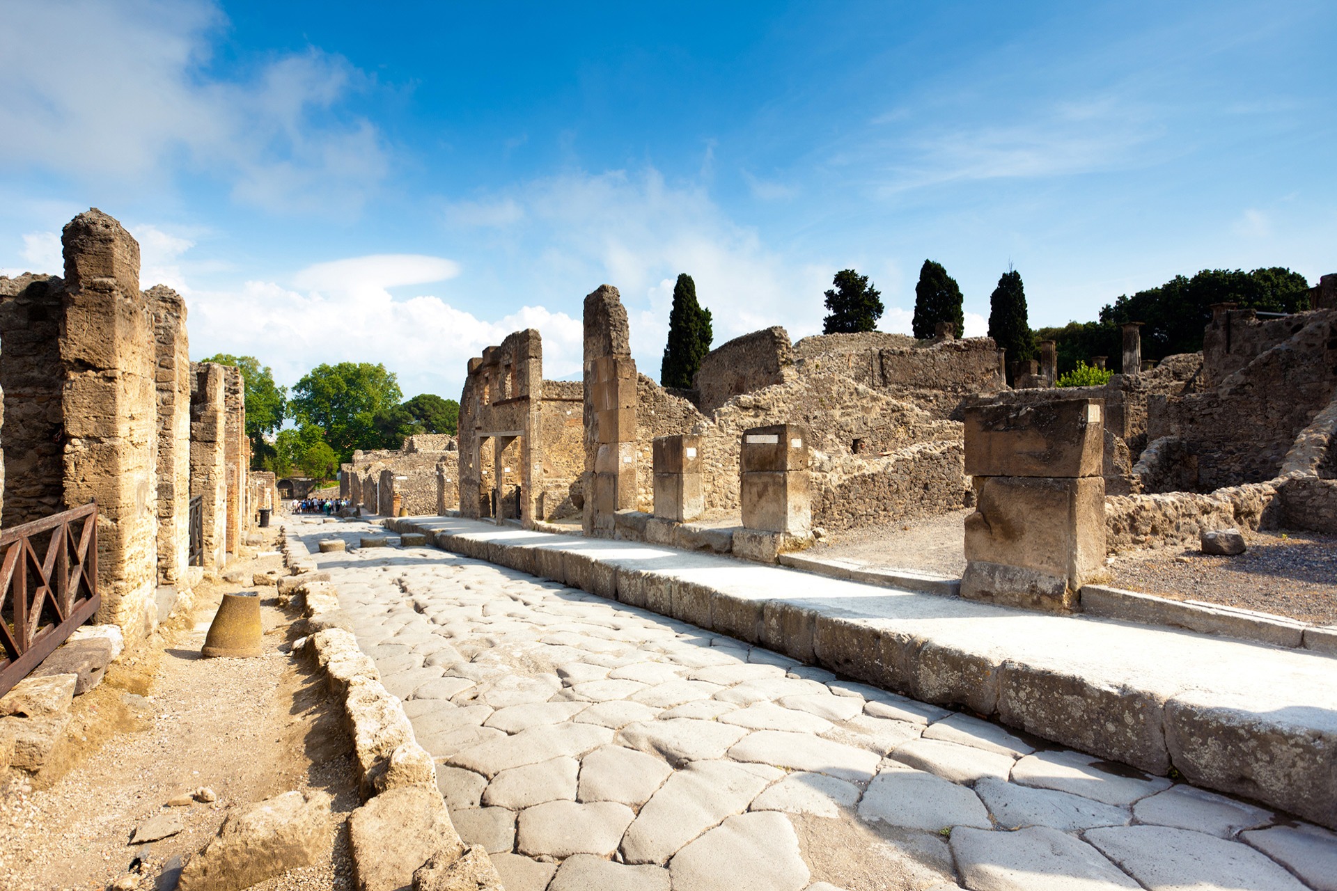 Pompeii:Entrance Ticket + Map (Express)